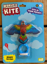 World's smallest kite!