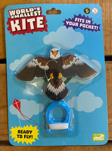 World's smallest kite!