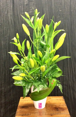 Asiatic Lily Arrangement (Ceramic Vase)