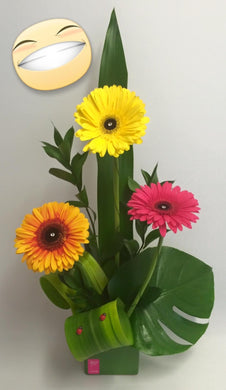 Gerbera Wrap/Pot